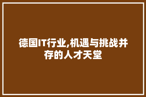 德国IT行业,机遇与挑战并存的人才天堂