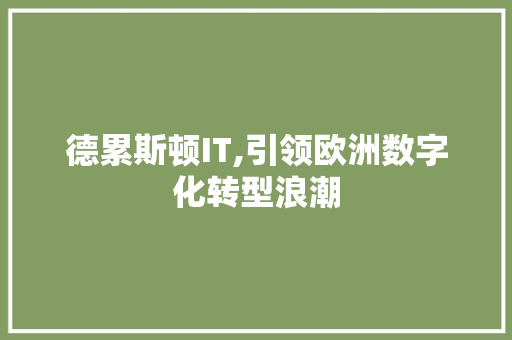 德累斯顿IT,引领欧洲数字化转型浪潮