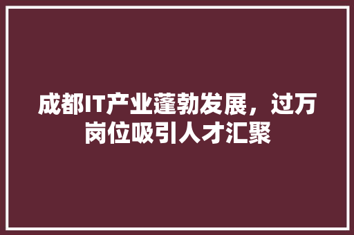 成都IT产业蓬勃发展，过万岗位吸引人才汇聚