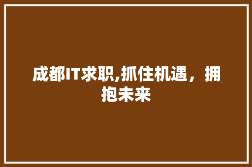 成都IT求职,抓住机遇，拥抱未来