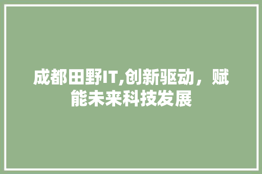 成都田野IT,创新驱动，赋能未来科技发展