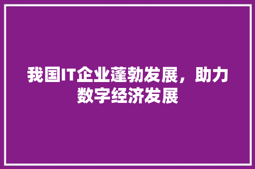 我国IT企业蓬勃发展，助力数字经济发展