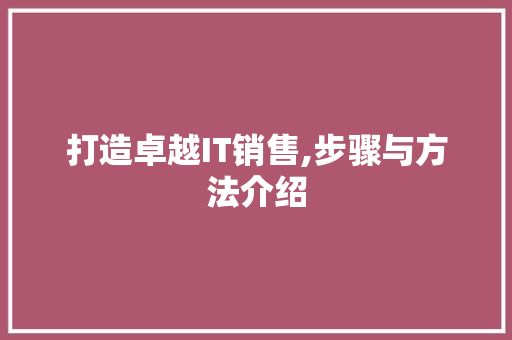 打造卓越IT销售,步骤与方法介绍