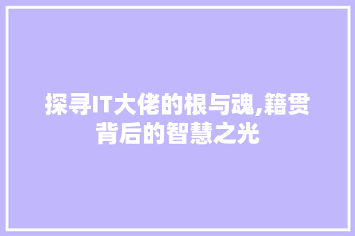 探寻IT大佬的根与魂,籍贯背后的智慧之光