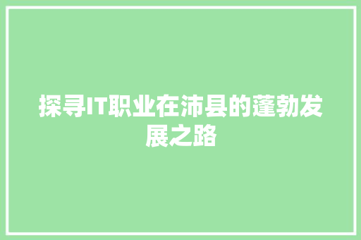 探寻IT职业在沛县的蓬勃发展之路