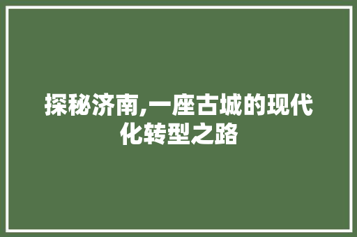 探秘济南,一座古城的现代化转型之路