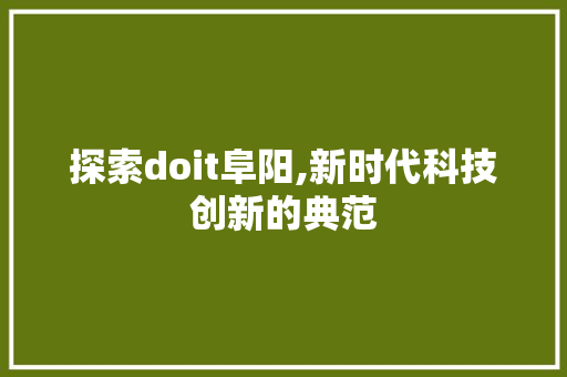 探索doit阜阳,新时代科技创新的典范