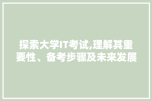 探索大学IT考试,理解其重要性、备考步骤及未来发展