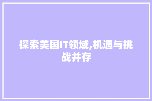 探索美国IT领域,机遇与挑战并存