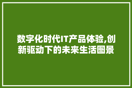 数字化时代IT产品体验,创新驱动下的未来生活图景