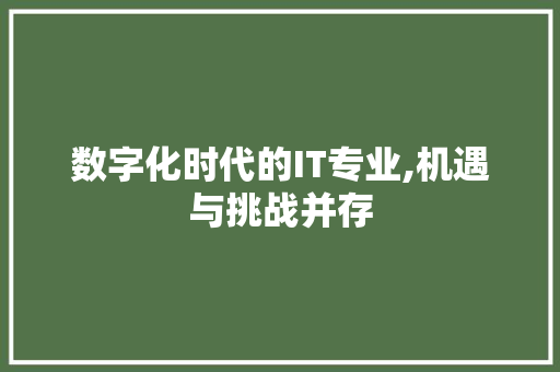 数字化时代的IT专业,机遇与挑战并存