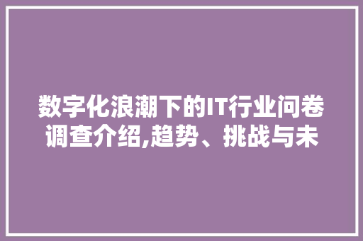 数字化浪潮下的IT行业问卷调查介绍,趋势、挑战与未来