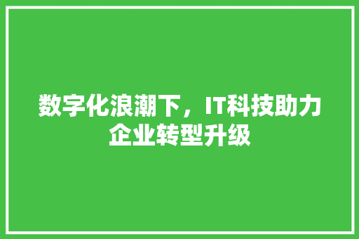 数字化浪潮下，IT科技助力企业转型升级