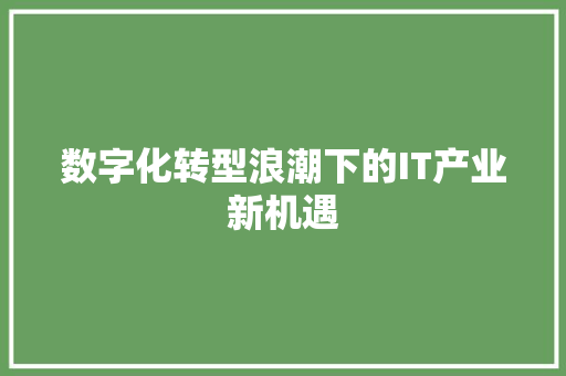 数字化转型浪潮下的IT产业新机遇