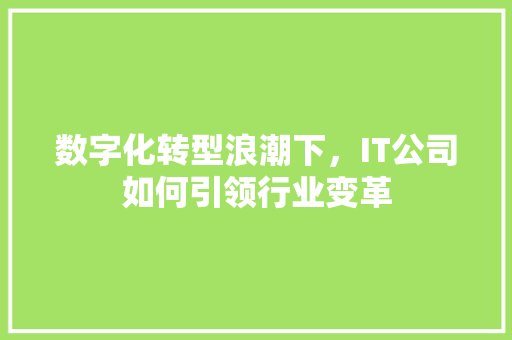 数字化转型浪潮下，IT公司如何引领行业变革