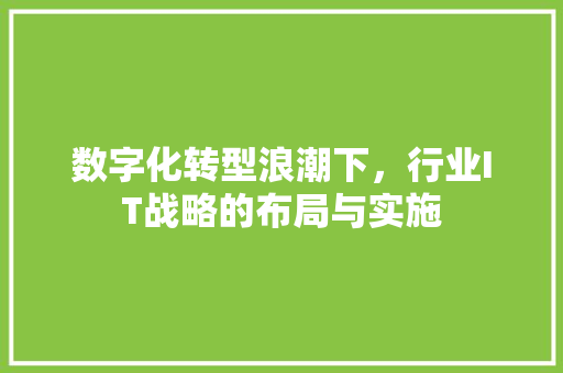 数字化转型浪潮下，行业IT战略的布局与实施