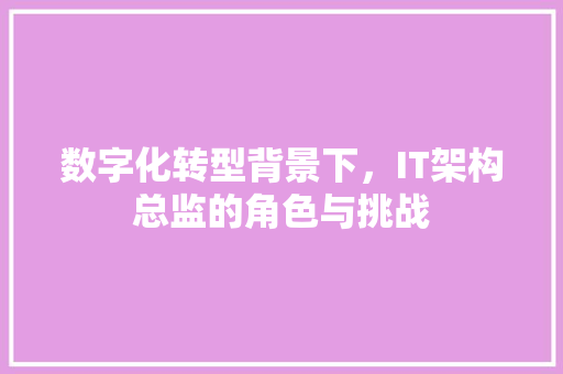 数字化转型背景下，IT架构总监的角色与挑战