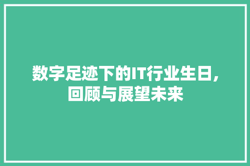 数字足迹下的IT行业生日,回顾与展望未来