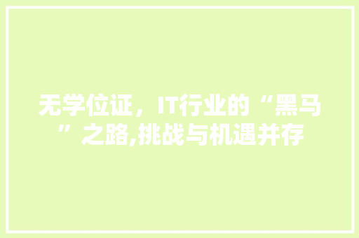 无学位证，IT行业的“黑马”之路,挑战与机遇并存