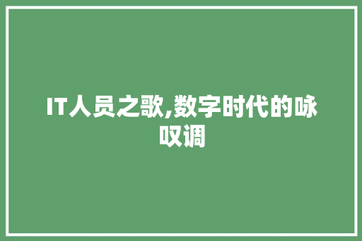 IT人员之歌,数字时代的咏叹调