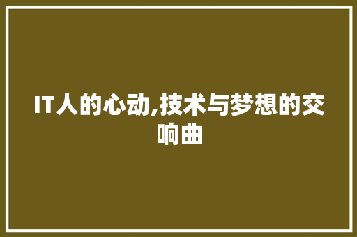 IT人的心动,技术与梦想的交响曲