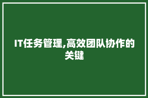 IT任务管理,高效团队协作的关键