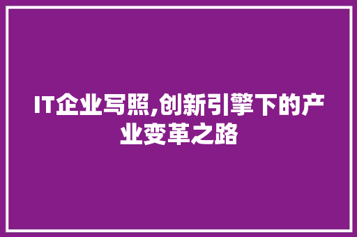 IT企业写照,创新引擎下的产业变革之路