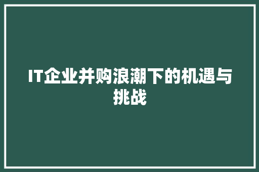 IT企业并购浪潮下的机遇与挑战