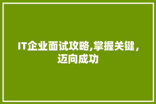 IT企业面试攻略,掌握关键，迈向成功