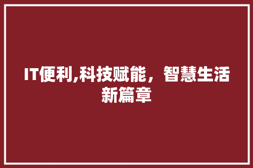 IT便利,科技赋能，智慧生活新篇章