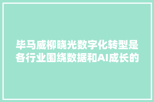 毕马威柳晓光数字化转型是各行业围绕数据和AI成长的关键