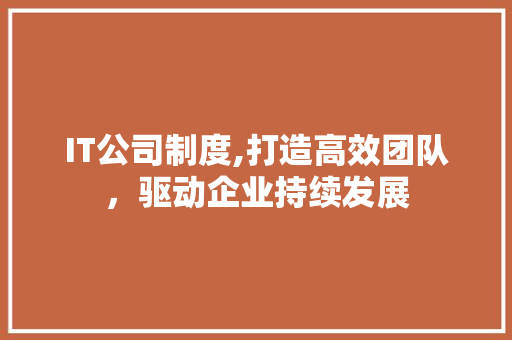 IT公司制度,打造高效团队，驱动企业持续发展