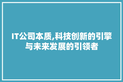 IT公司本质,科技创新的引擎与未来发展的引领者