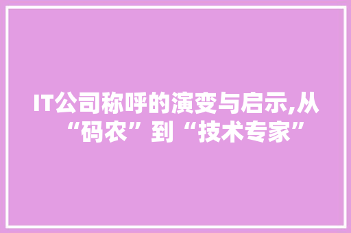 IT公司称呼的演变与启示,从“码农”到“技术专家”