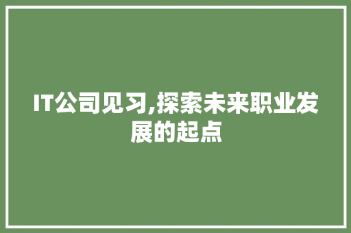 IT公司见习,探索未来职业发展的起点