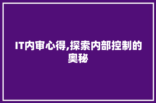 IT内审心得,探索内部控制的奥秘