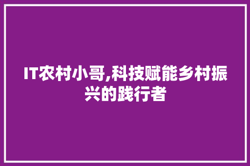 IT农村小哥,科技赋能乡村振兴的践行者