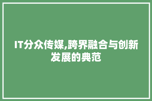 IT分众传媒,跨界融合与创新发展的典范