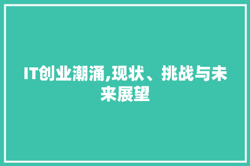 IT创业潮涌,现状、挑战与未来展望