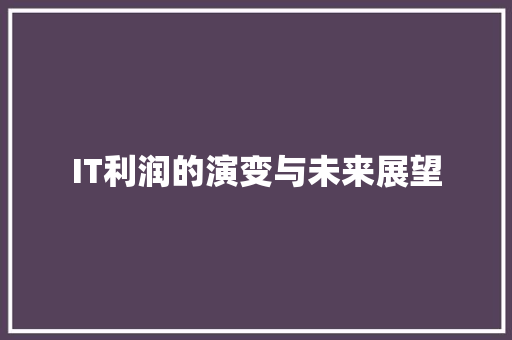 IT利润的演变与未来展望