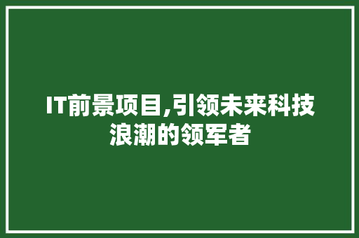 IT前景项目,引领未来科技浪潮的领军者