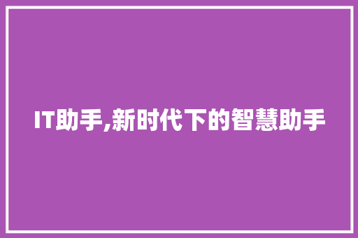 IT助手,新时代下的智慧助手