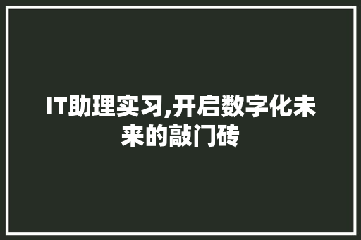 IT助理实习,开启数字化未来的敲门砖