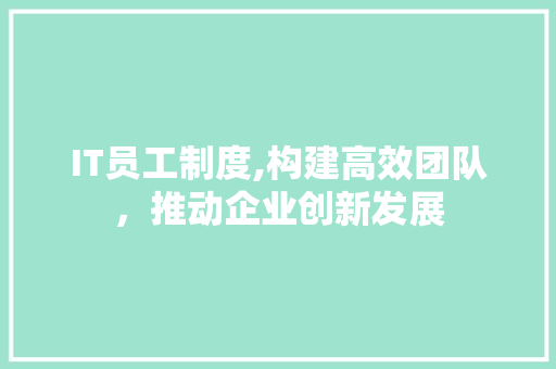 IT员工制度,构建高效团队，推动企业创新发展