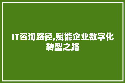 IT咨询路径,赋能企业数字化转型之路