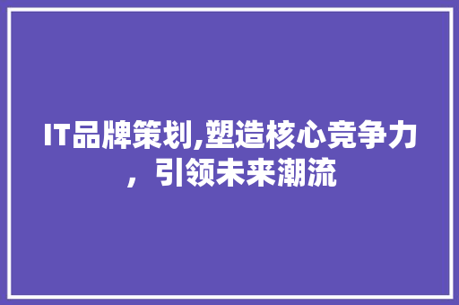 IT品牌策划,塑造核心竞争力，引领未来潮流