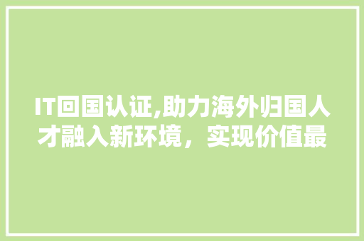 IT回国认证,助力海外归国人才融入新环境，实现价值最大化