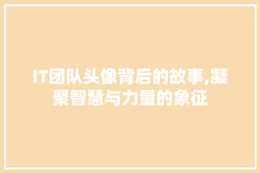 IT团队头像背后的故事,凝聚智慧与力量的象征