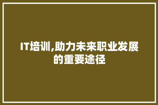 IT培训,助力未来职业发展的重要途径