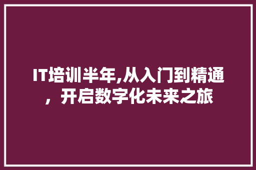 IT培训半年,从入门到精通，开启数字化未来之旅